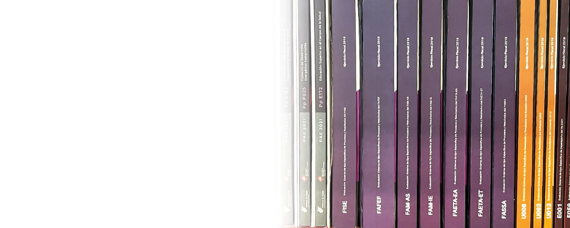 Primera slide de evaluación