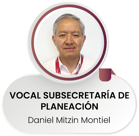 Daniel Mitzin Montiel